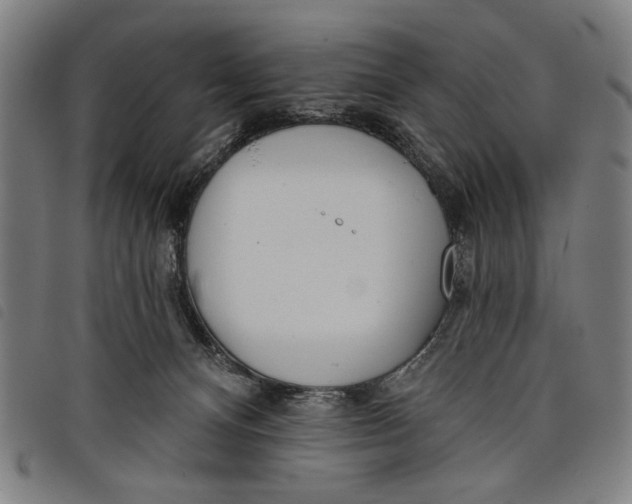 X0000097810128200804041345