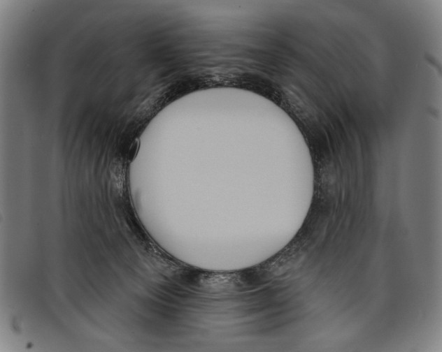 X0000097810129200804041345