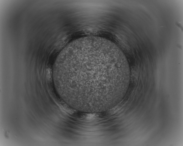 X0000097810130200804041345