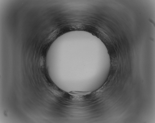 X0000097810132200804041345