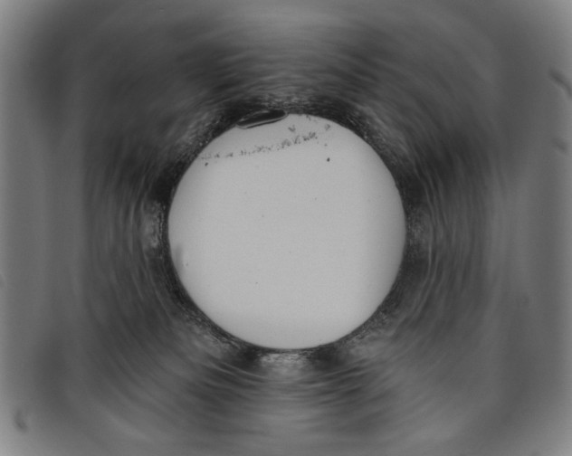 X0000097810133200804041345