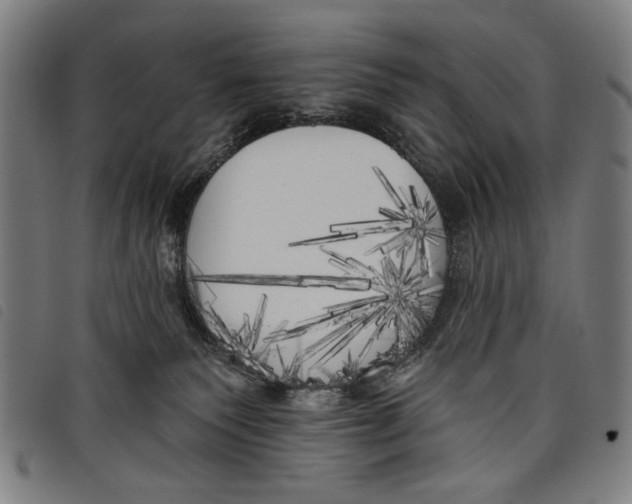 X0000097810135200804041345