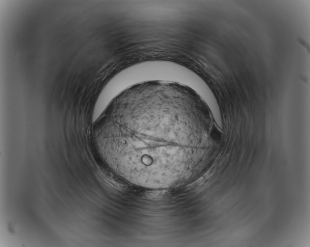 X0000097810136200804041345