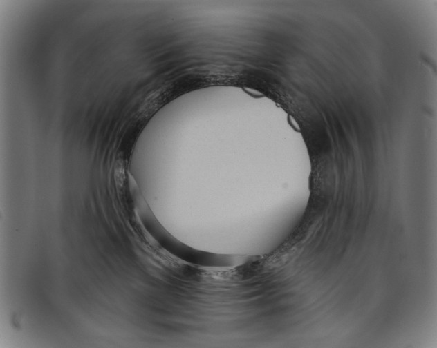 X0000097810137200804041345