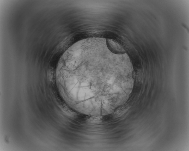 X0000097810138200804041345