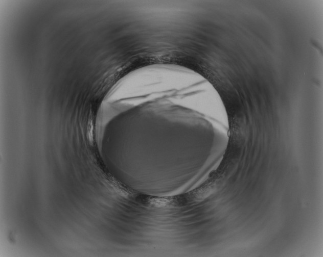 X0000097810139200804041345