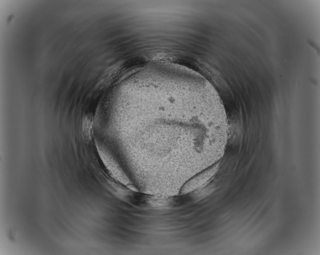 X0000097810142200804041345