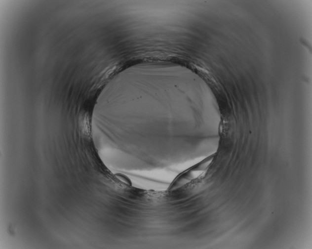 X0000097810143200804041345