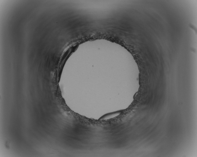 X0000097810144200804041345