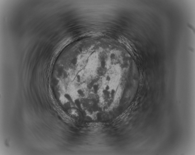 X0000097810145200804041344