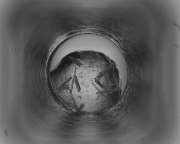 X0000097810152200804041344