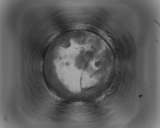 X0000097810153200804041344