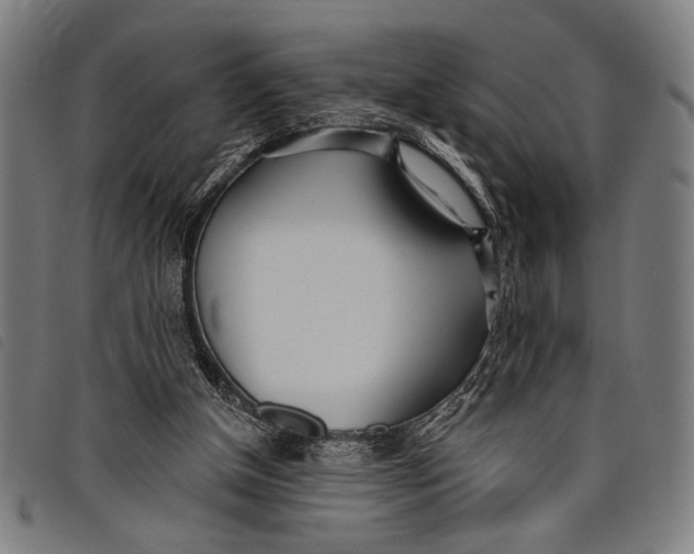 X0000097810154200804041344