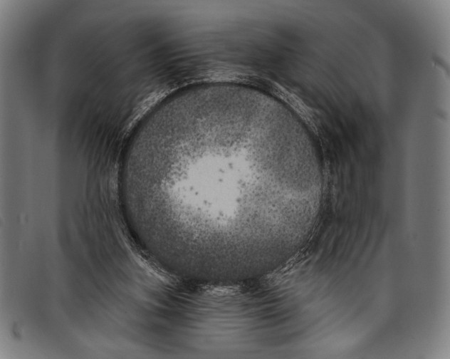 X0000097810155200804041344