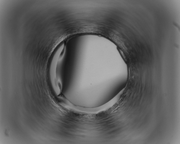 X0000097810156200804041344