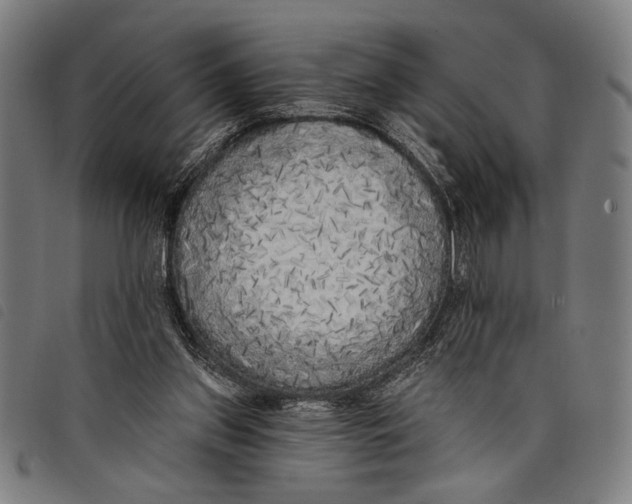 X0000097810157200804041344