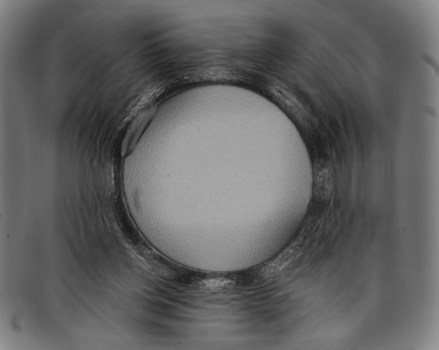 X0000097810158200804041344