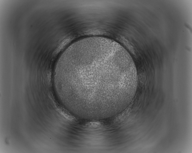 X0000097810159200804041344