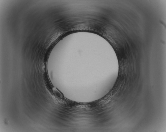 X0000097810160200804041344