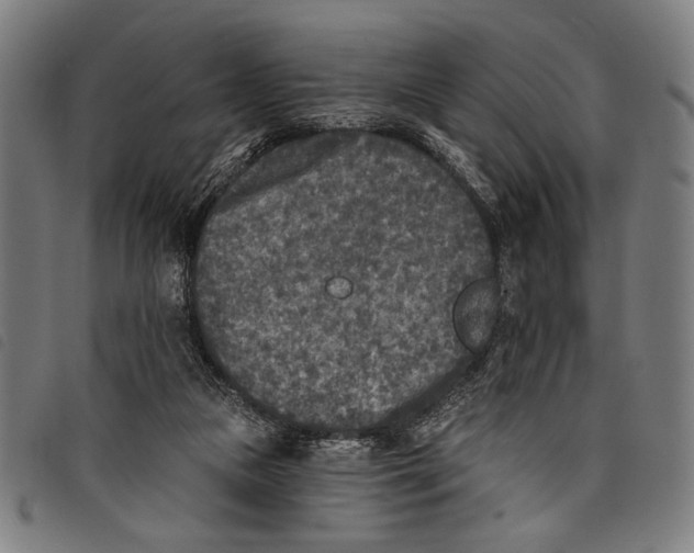 X0000097810161200804041344