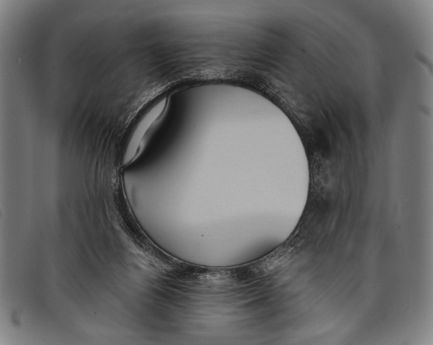 X0000097810164200804041344