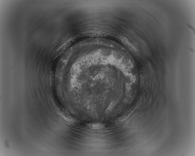 X0000097810165200804041344