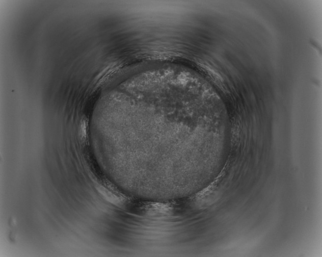 X0000097810166200804041344