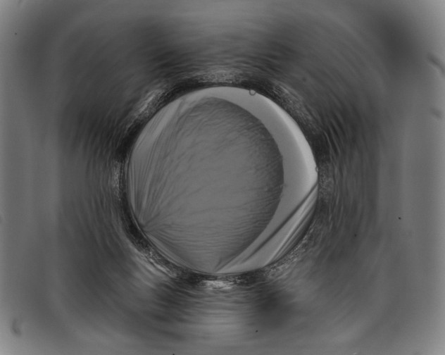 X0000097810167200804041344