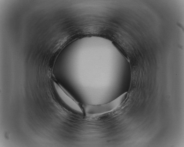 X0000097810168200804041344