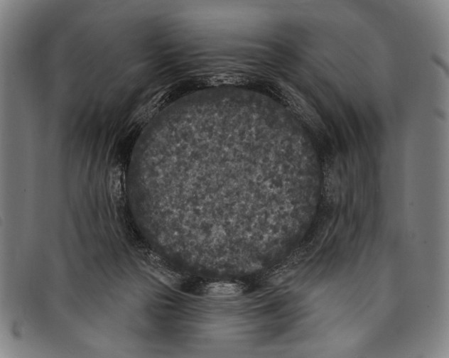 X0000097810169200804041344