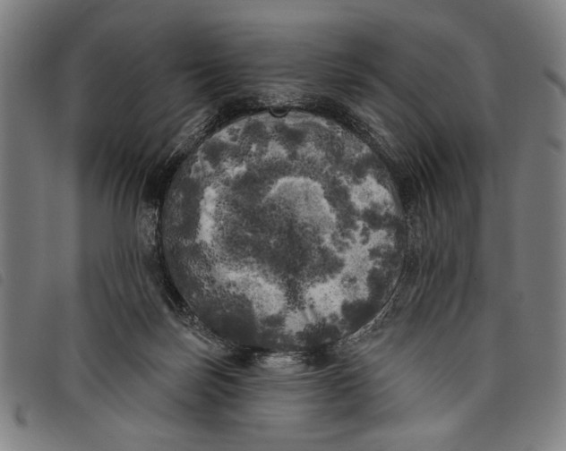 X0000097810171200804041344