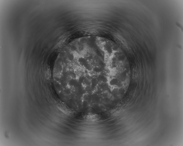 X0000097810173200804041344