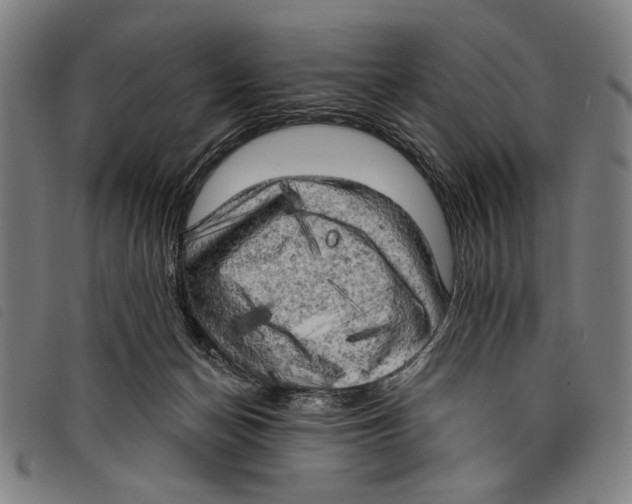 X0000097810174200804041344