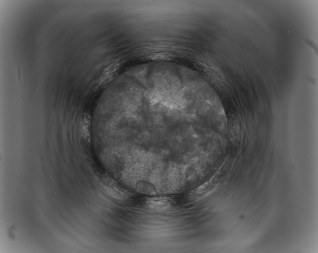 X0000097810175200804041344