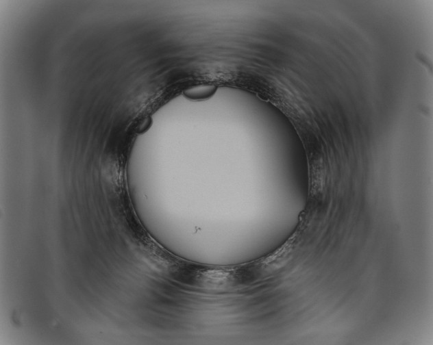 X0000097810176200804041344