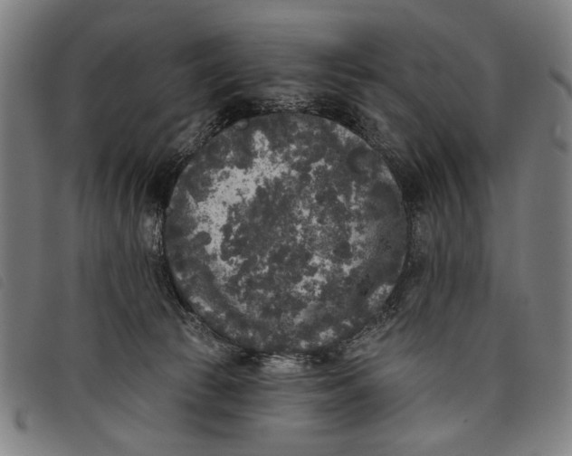 X0000097810177200804041344