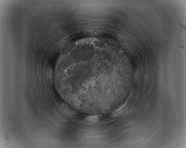 X0000097810178200804041344