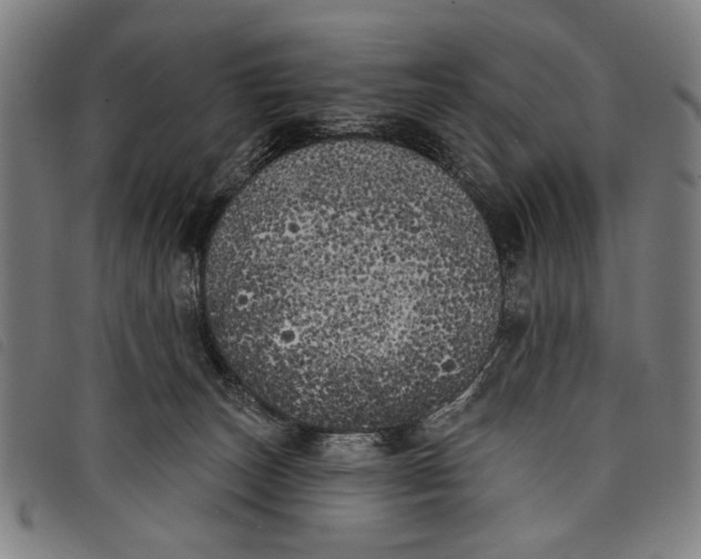 X0000097810179200804041344