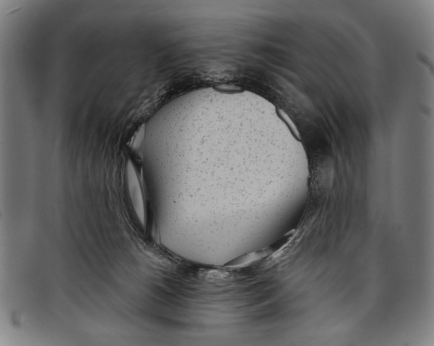 X0000097810180200804041344