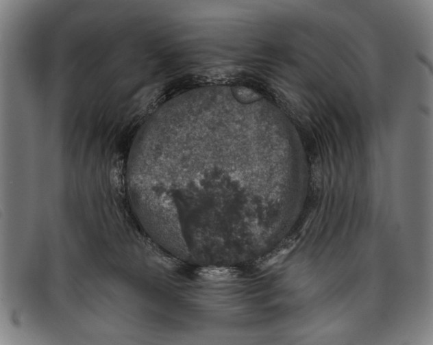 X0000097810181200804041344