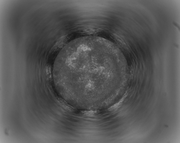 X0000097810182200804041344