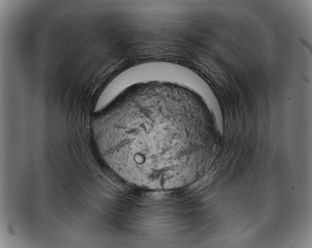 X0000097810184200804041344