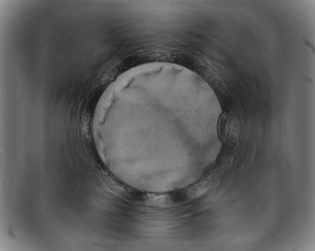 X0000097810185200804041344