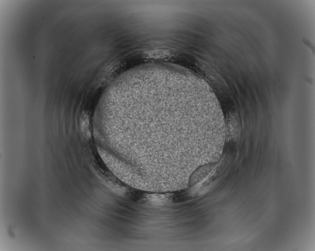 X0000097810187200804041345