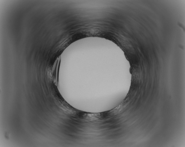 X0000097810188200804041345