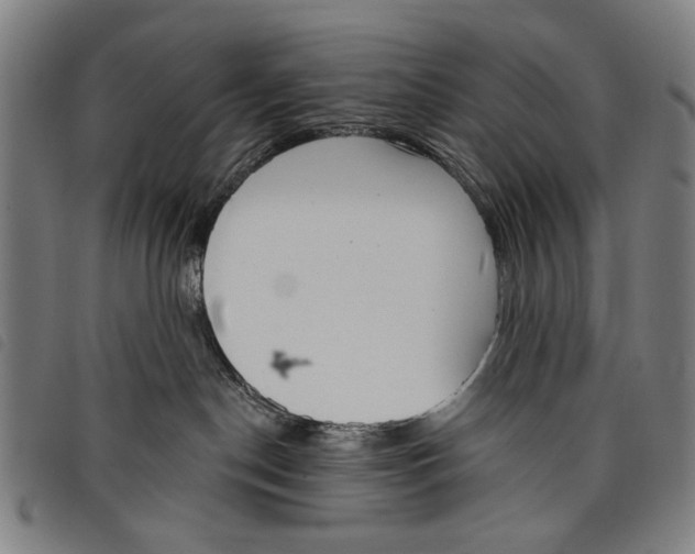 X0000097810190200804041345