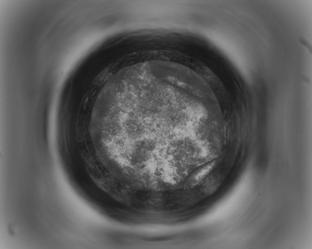 X0000097810191200804041345