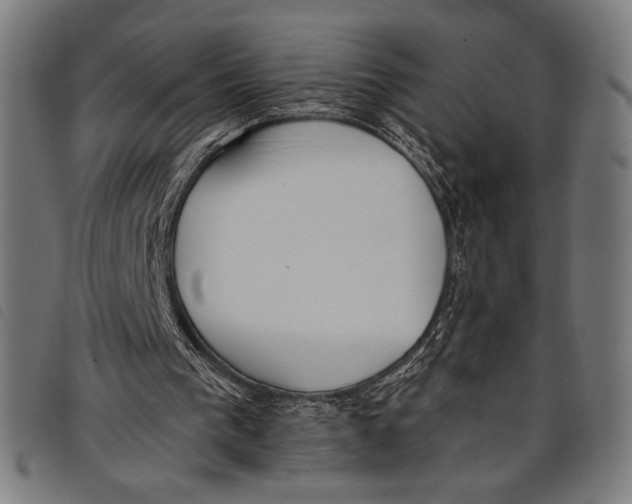 X0000097810193200804041344