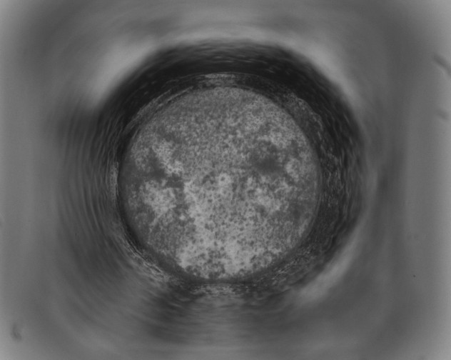 X0000097810194200804041344