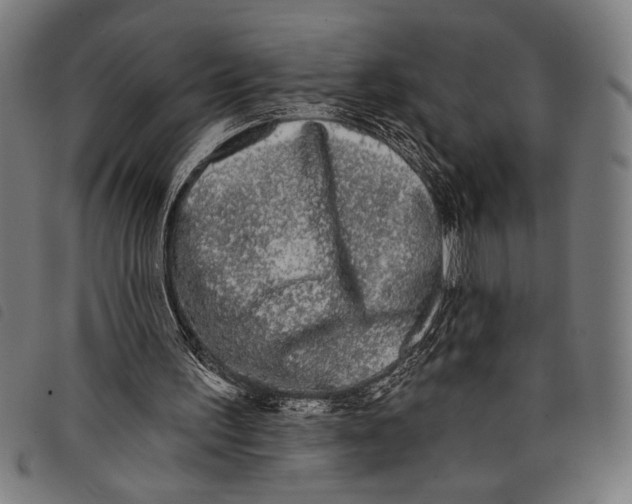 X0000097810195200804041344